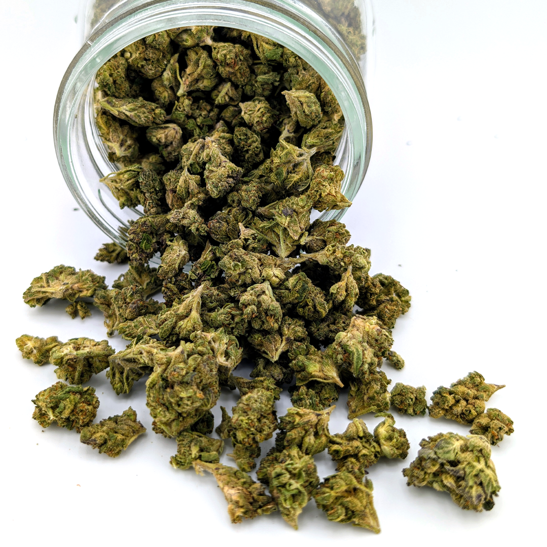Black Runtz- 23.27%- Average Flower