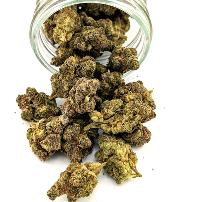 Block Berry- 25.89- Exotic Flower