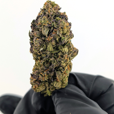 Blue Nerdz Flower