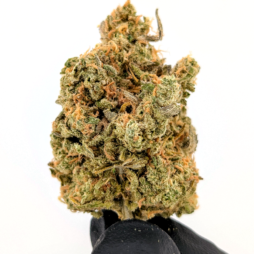 Blue Dream - 26.05%- Legendary Flower