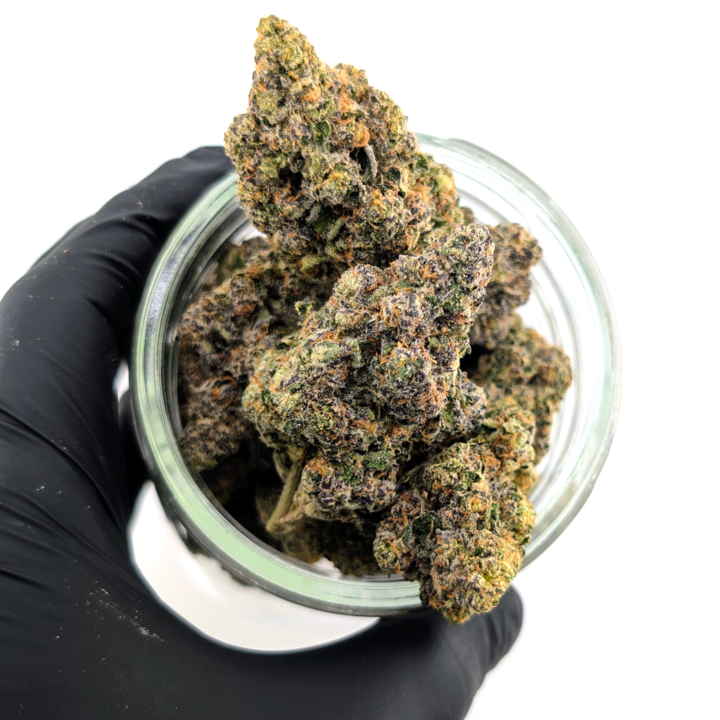Blue Sherbet Flower