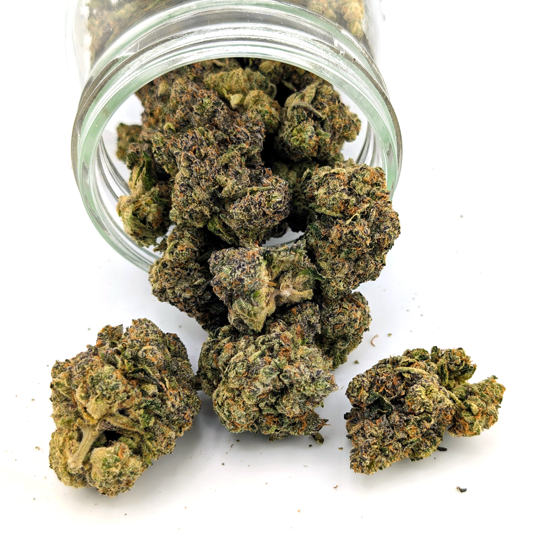 Blue Sherbet Flower