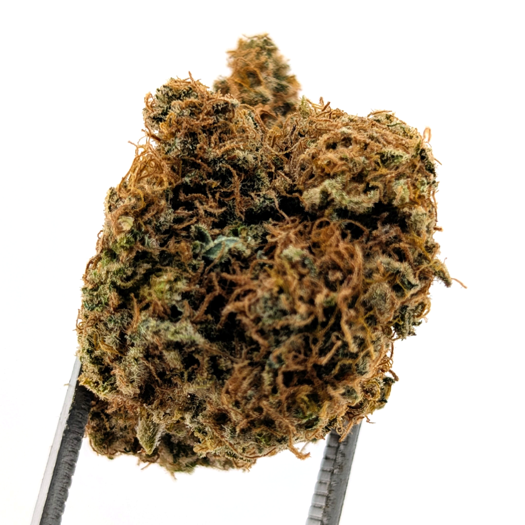 Blueberry Sherb Flower