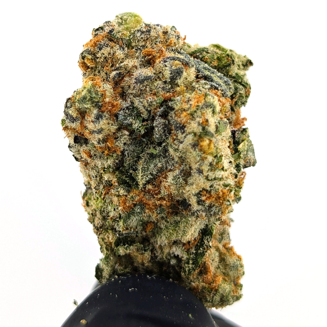 Blueberry Caviar Flower