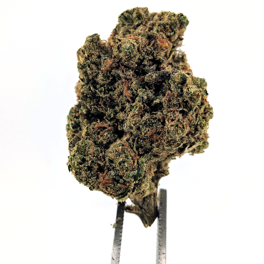 Blueberry Haze Flower