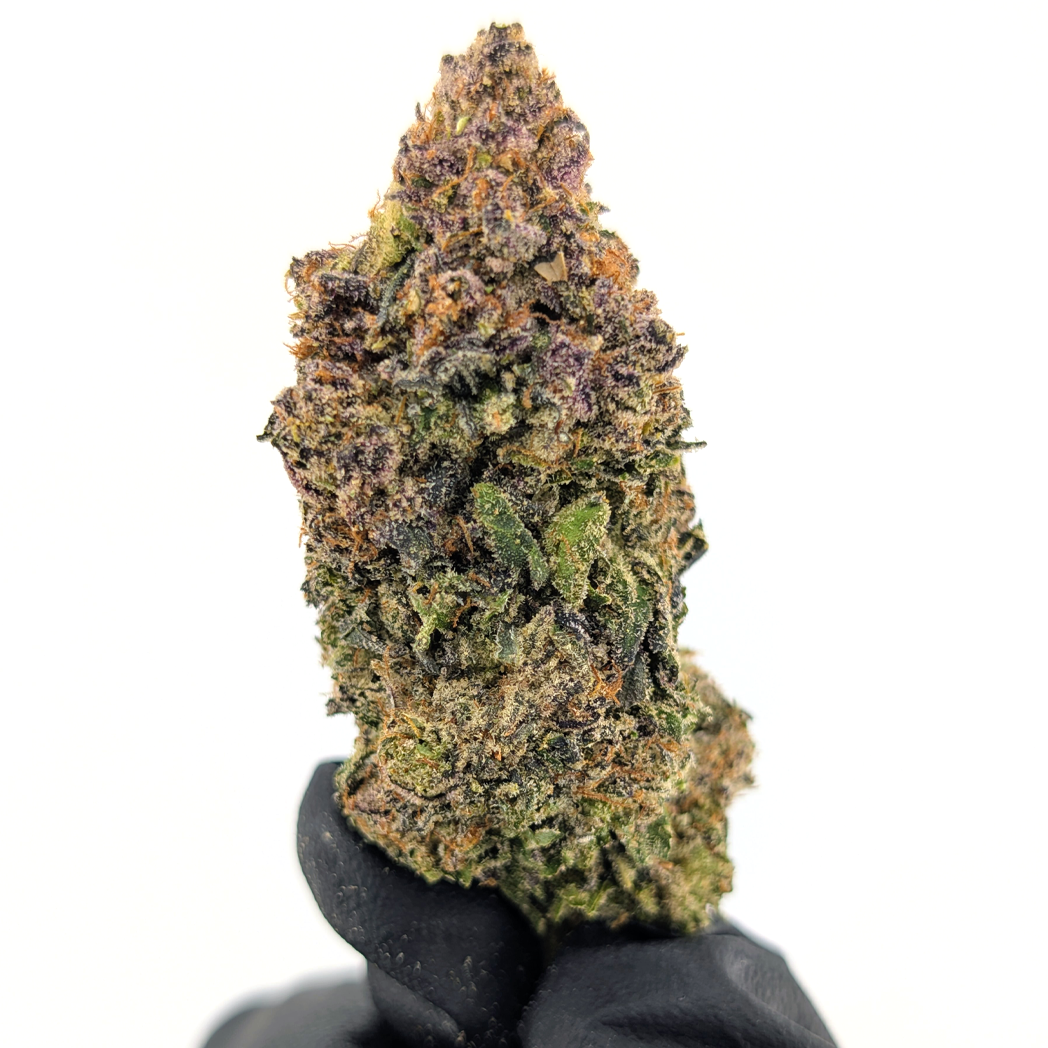 Cadillac Rainbow Flower