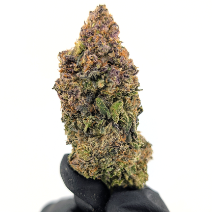 Cadillac Rainbow Flower