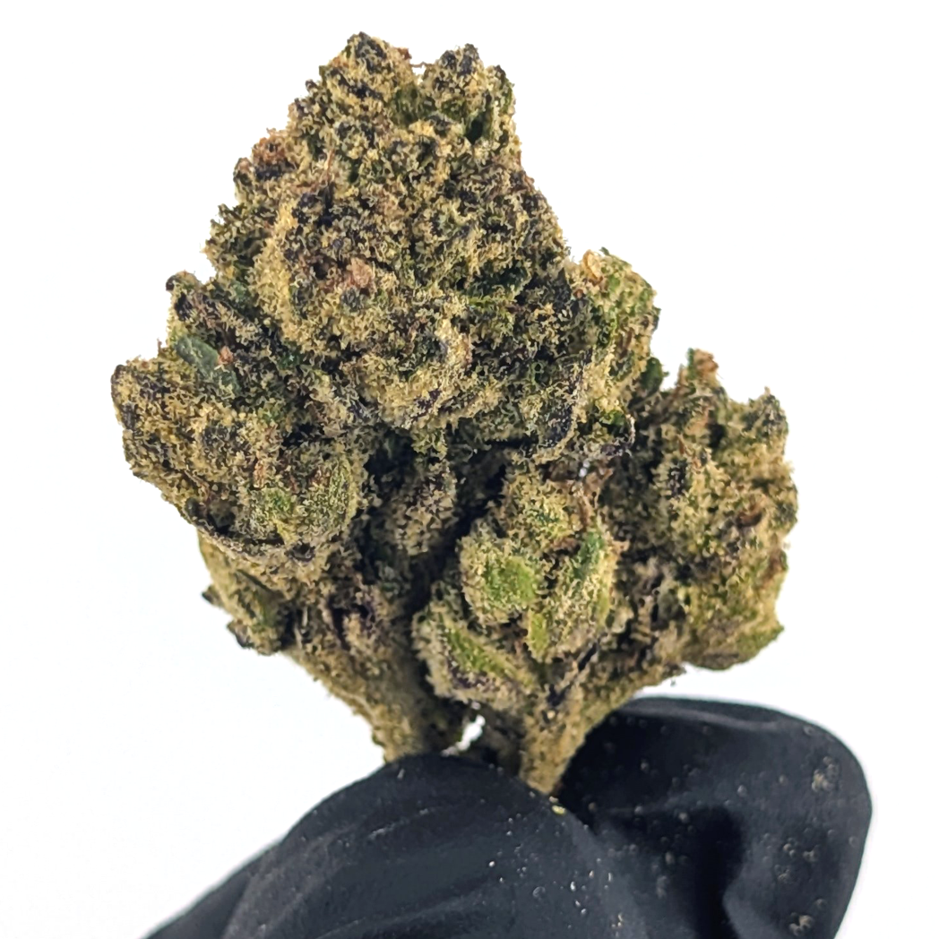 Candy Bezel Flower