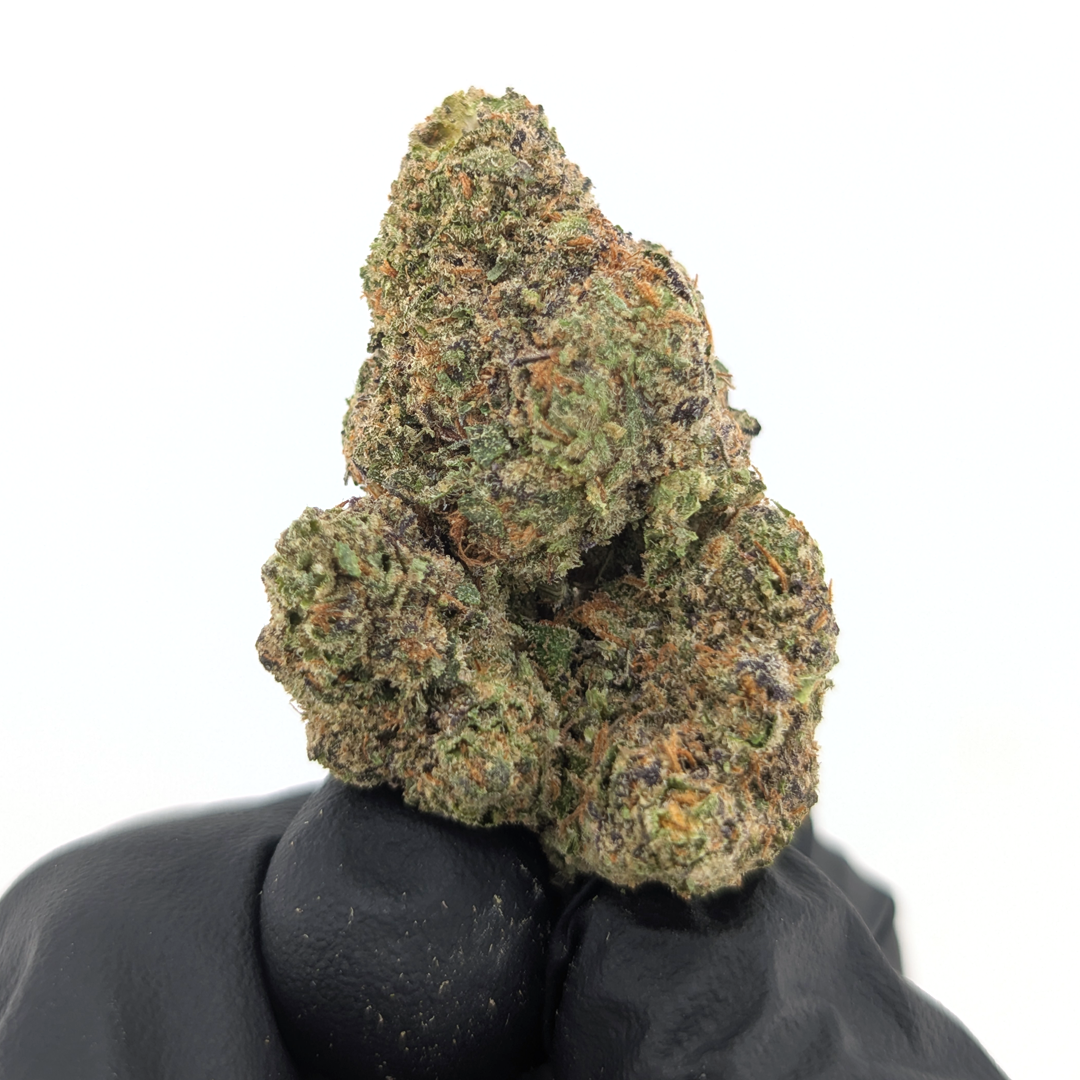 Candy Gas - 29.09%- Legendary Flower