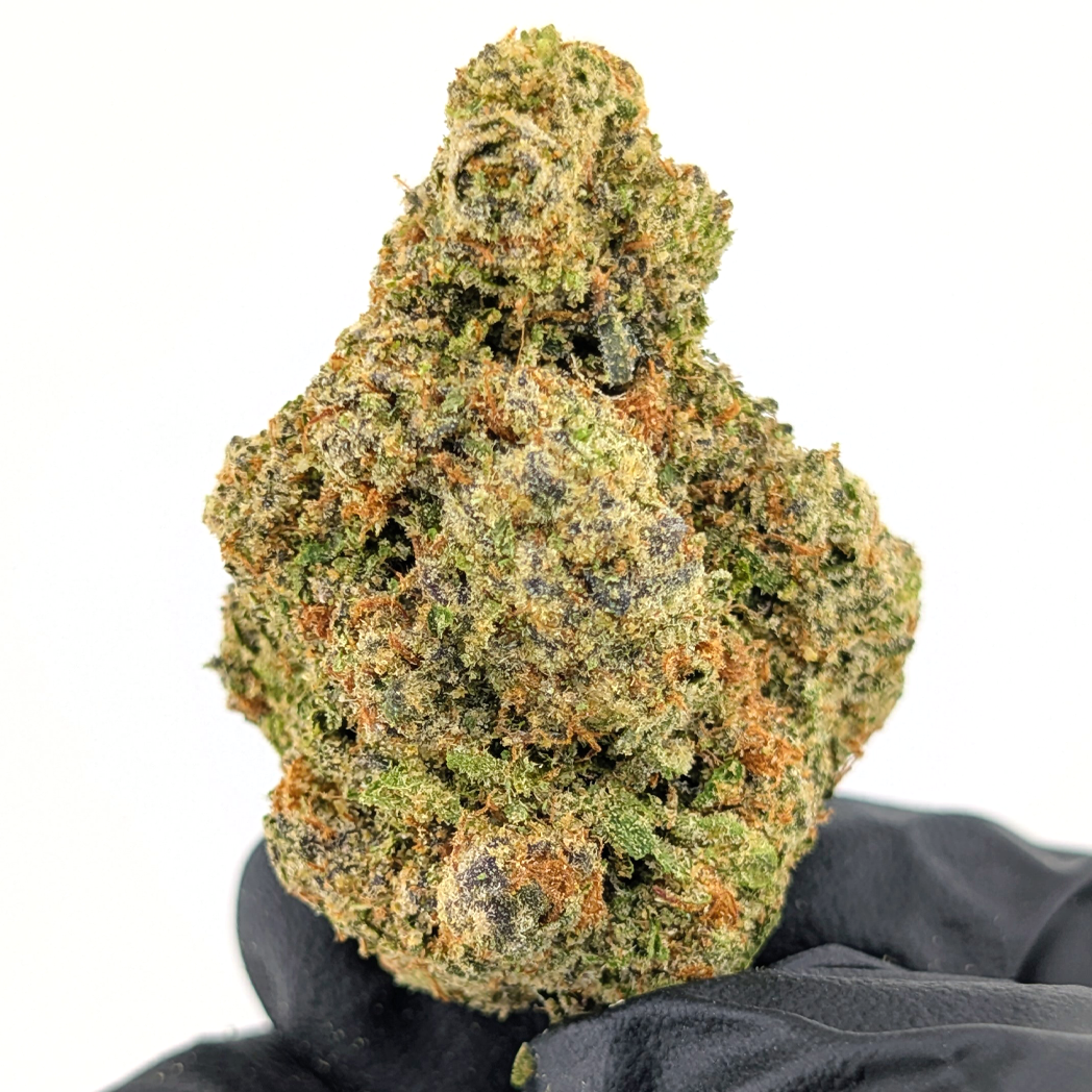 Cherry Burst -28.22%- Exotic Flower