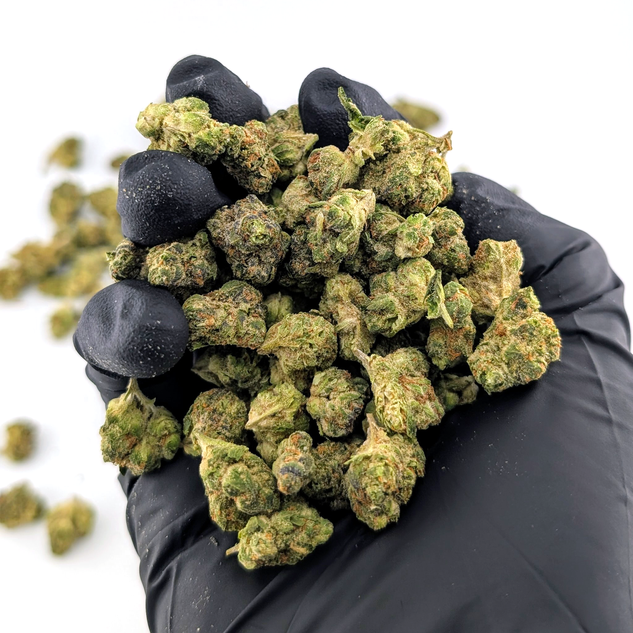 Cherry Do-Si-Dos- 24.96%- Average Flower