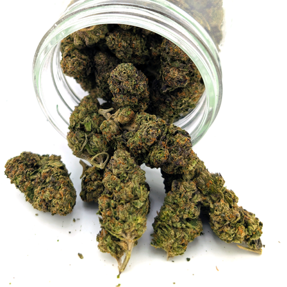 Chocolate Biscotti Flower