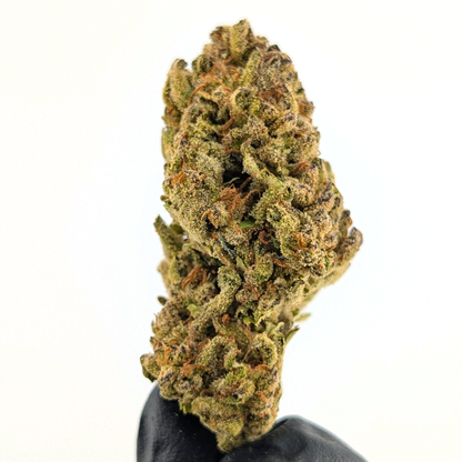 Chocolope Flower
