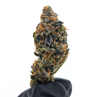 Candy Runtz Flower