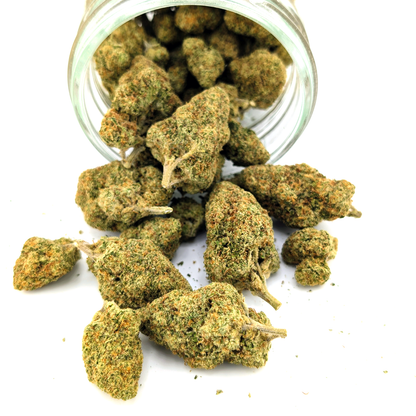 Colombian Gold Flower