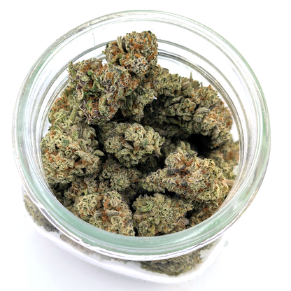 Dante's Wrath Flower