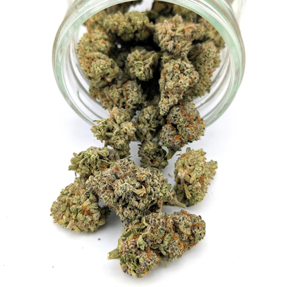 Dante's Wrath Flower