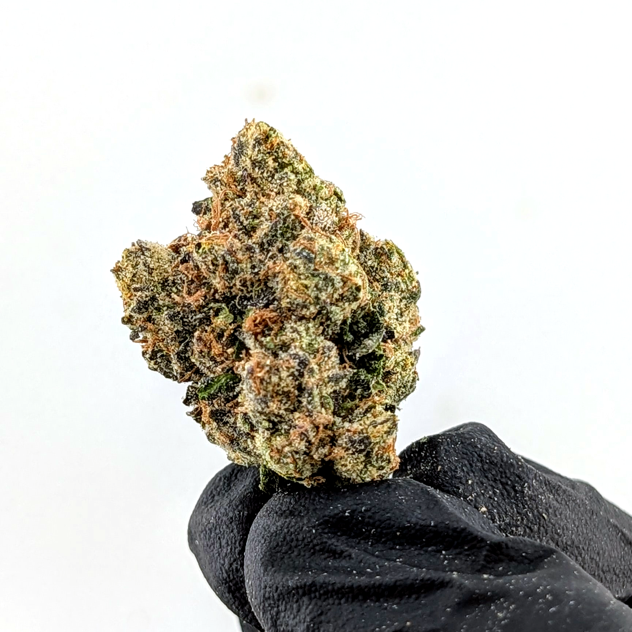 Dosidos- 22.5%-  Exotic Flower