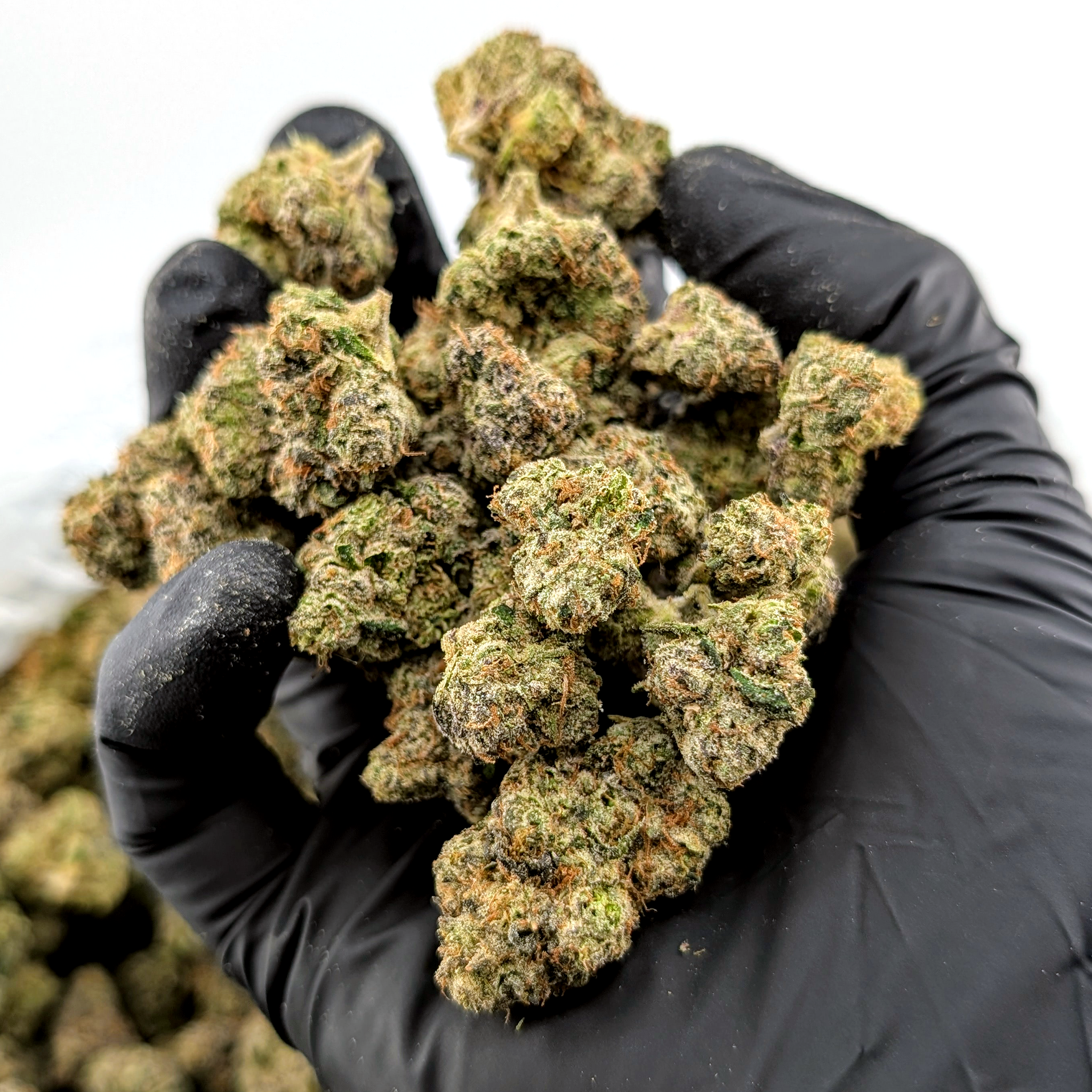 Dosidos- 22.5%-  Exotic Flower