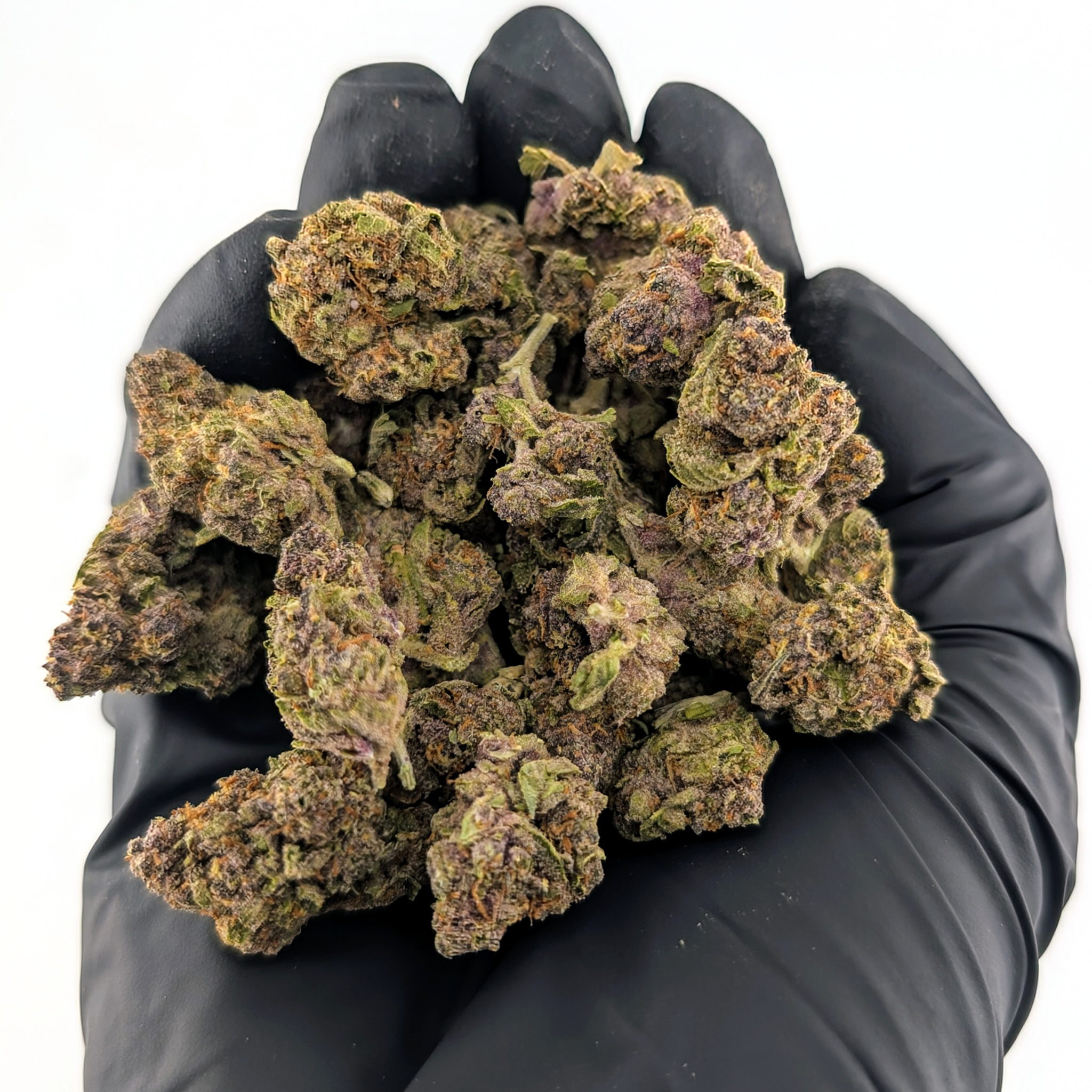 Forbidden Fruit- 28.92%- Average Flower