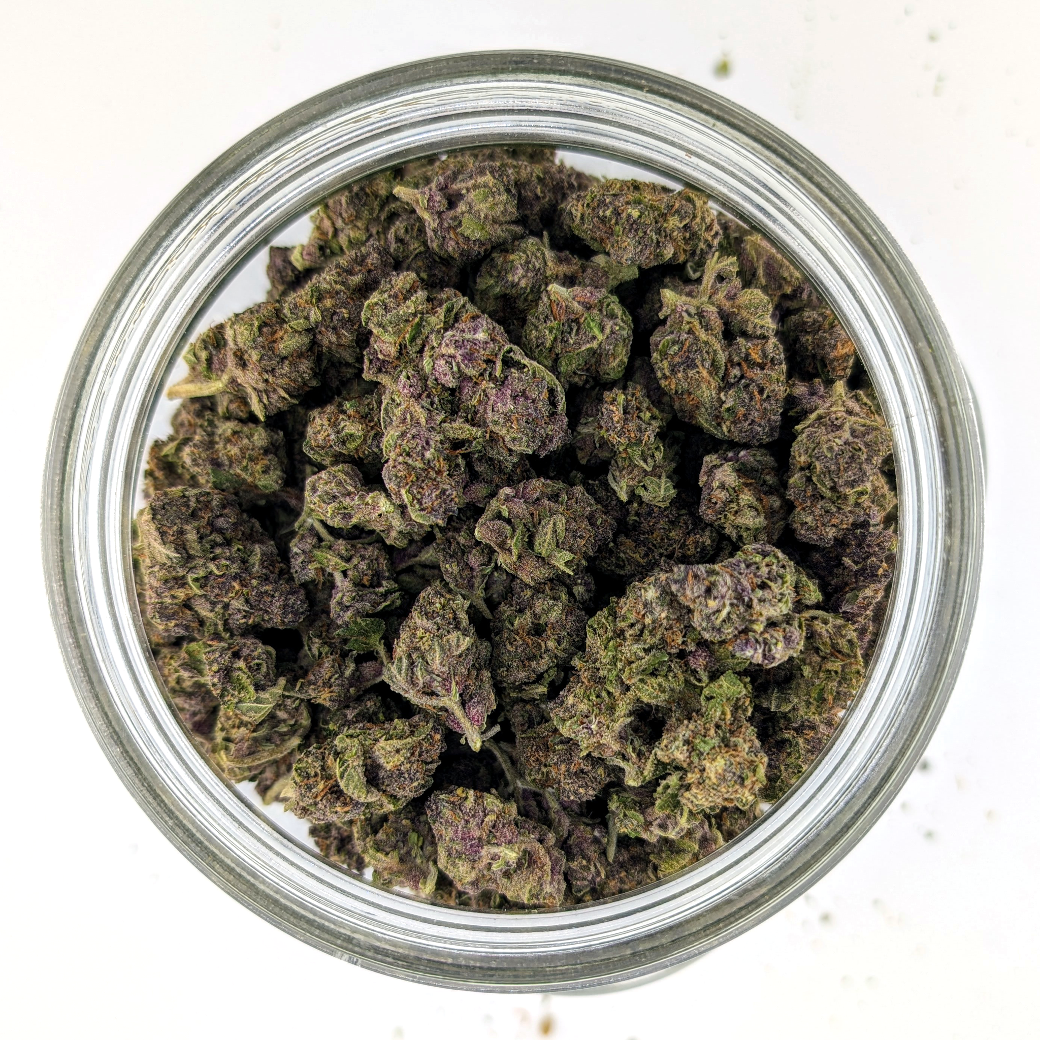 Forbidden Fruit- 28.92%- Average Flower