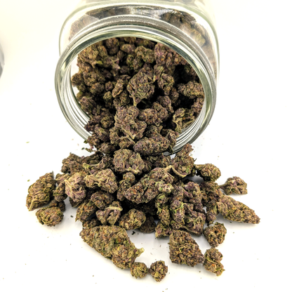Forbidden Fruit- 28.92%- Average Flower