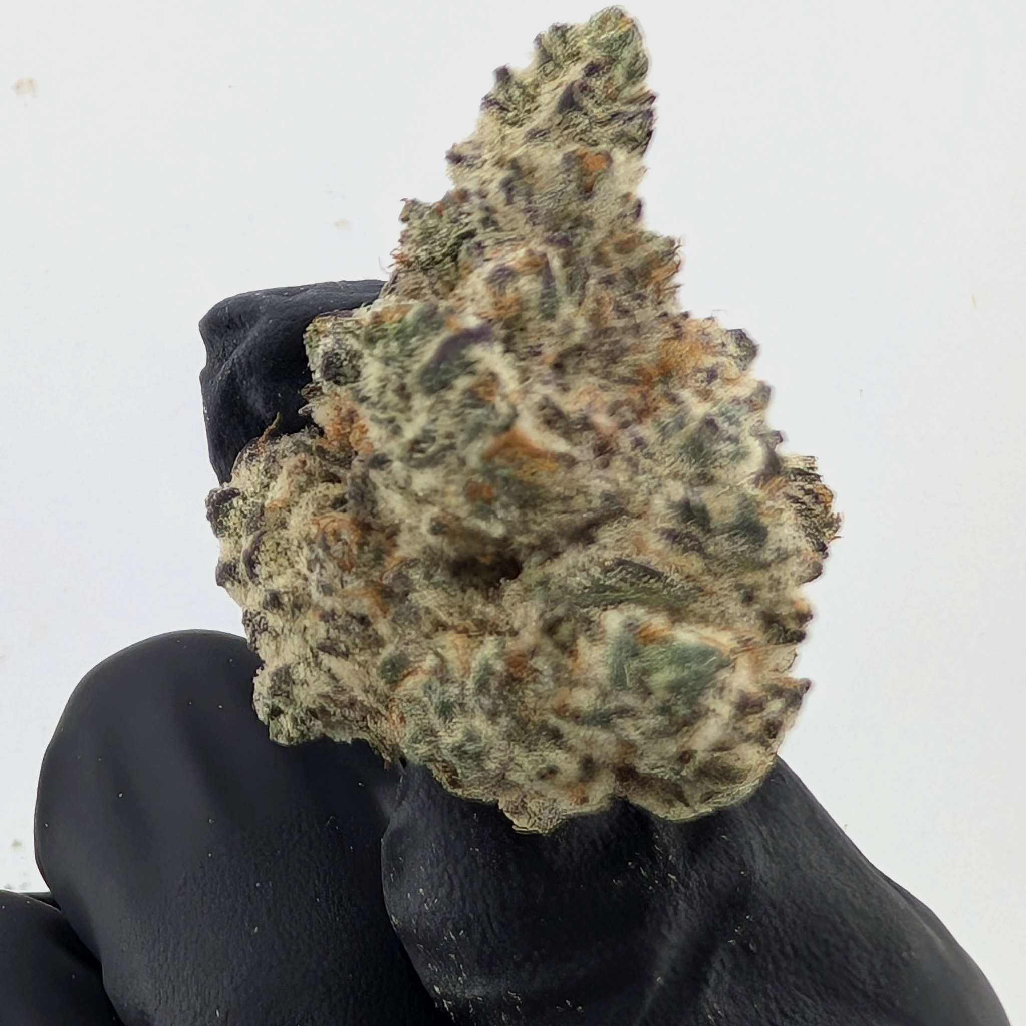 Frosted Donutz- 21.99%- Legendary Flower