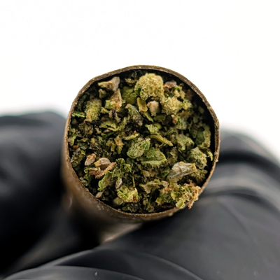 Kush Glue Diamond Infused Pre-Rolled Blunt