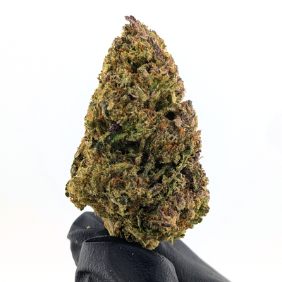 Gary Payton Flower
