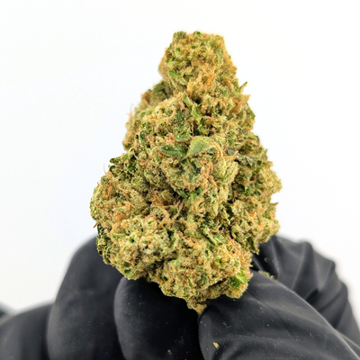 Gelato 45 Flower