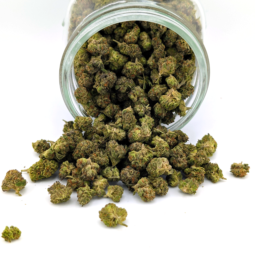 🎂🍧 Gelatti Cake – 23.76% THC Exotic Flower Small Nug