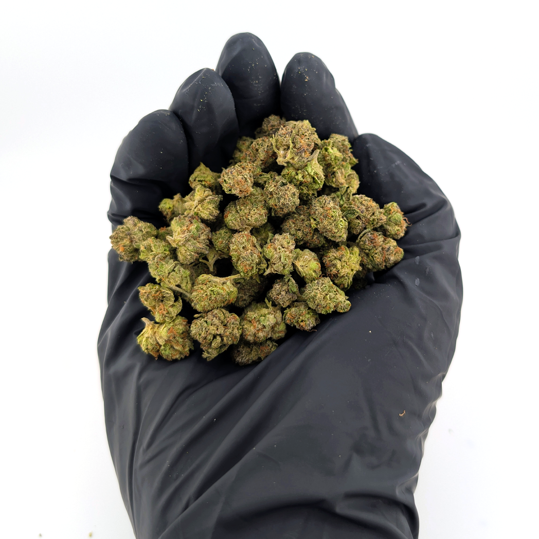 🎂🍧 Gelatti Cake – 23.76% THC Exotic Flower Small Nug