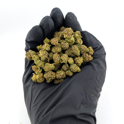 🎂🍧 Gelatti Cake – 23.76% THC Exotic Flower Small Nug