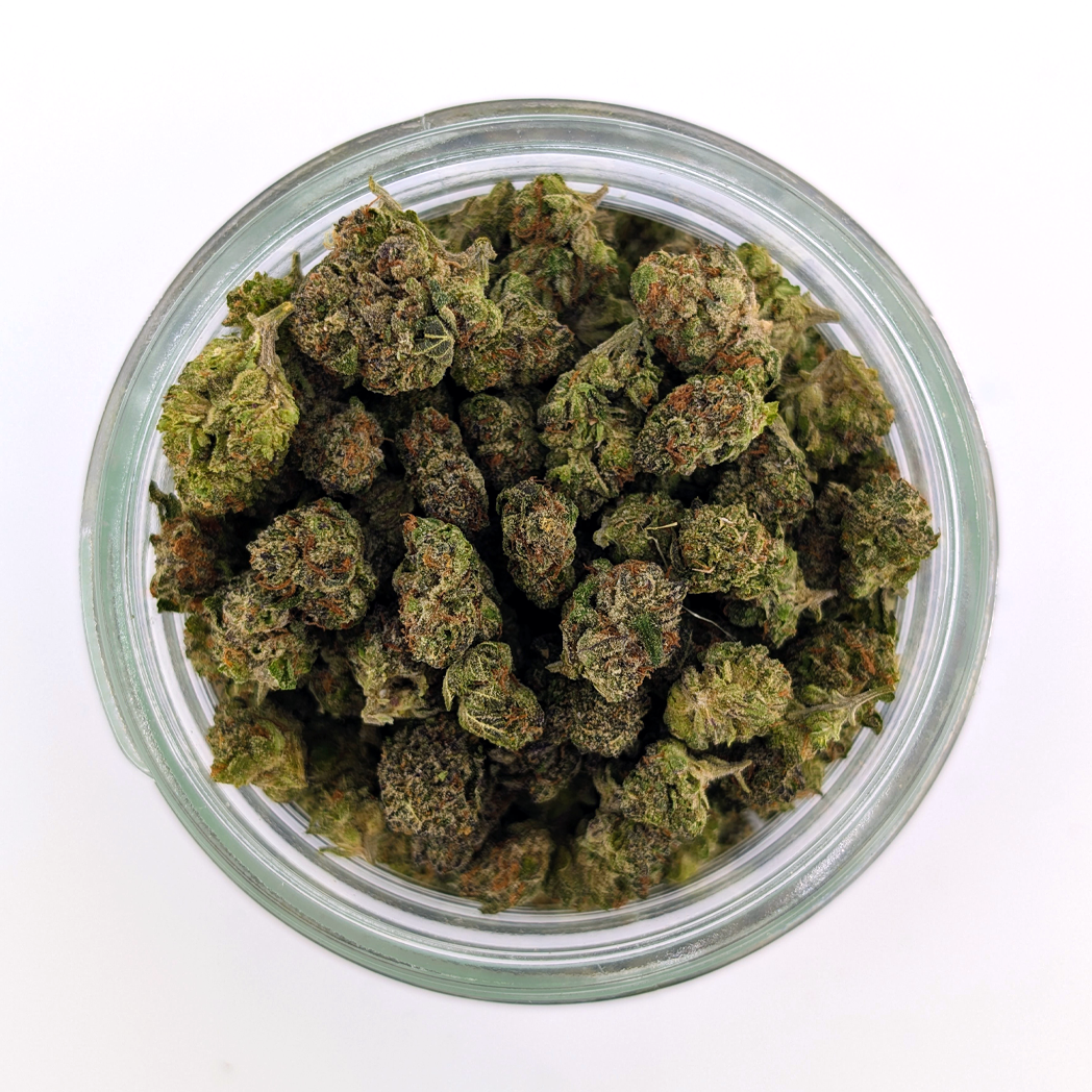 🎂🍧 Gelatti Cake – 23.76% THC Exotic Flower Small Nug