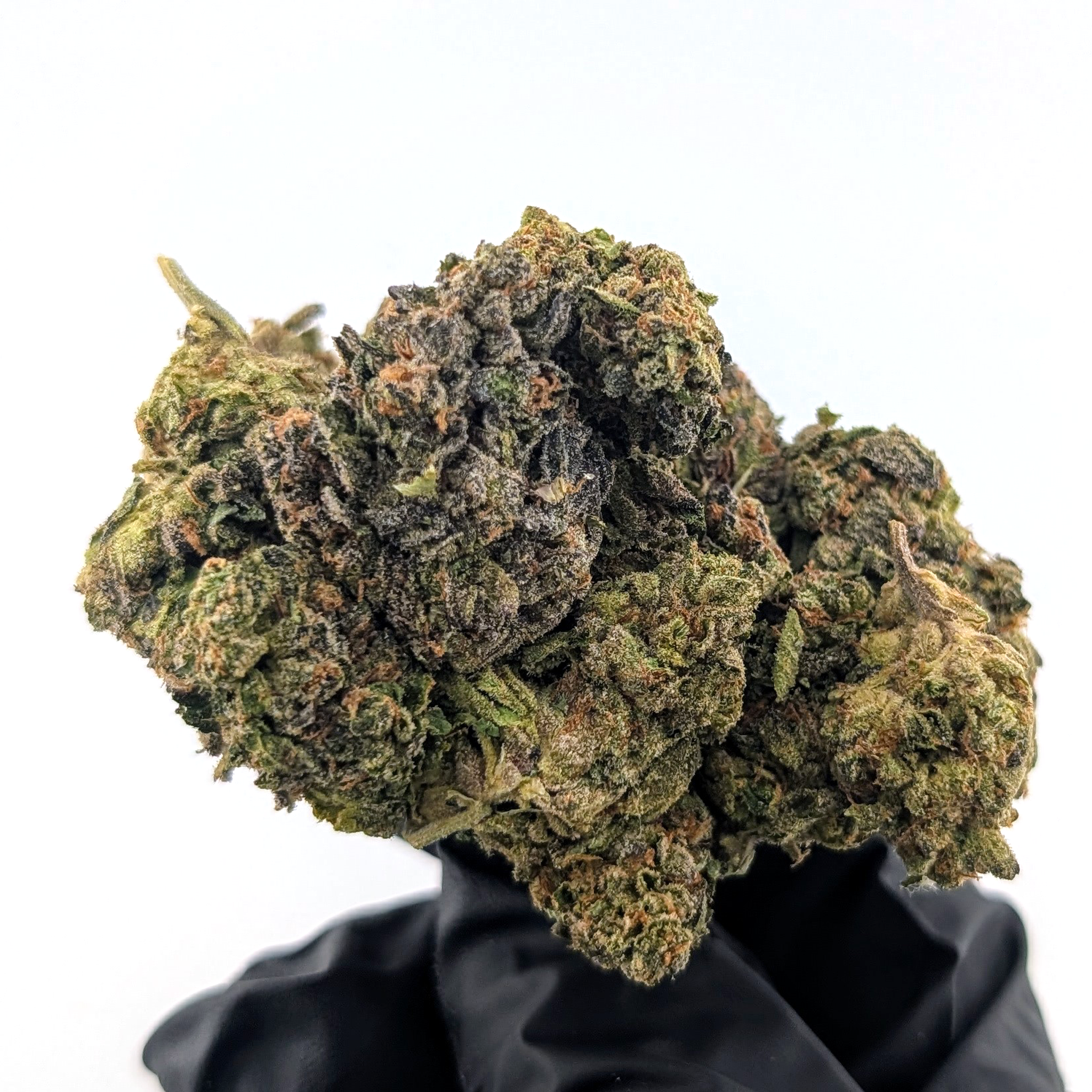 Glitter Bomb - 25.17%- Exotic Flower