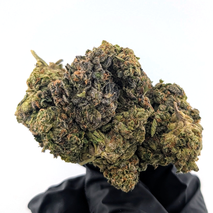 Glitter Bomb - 25.17%- Exotic Flower