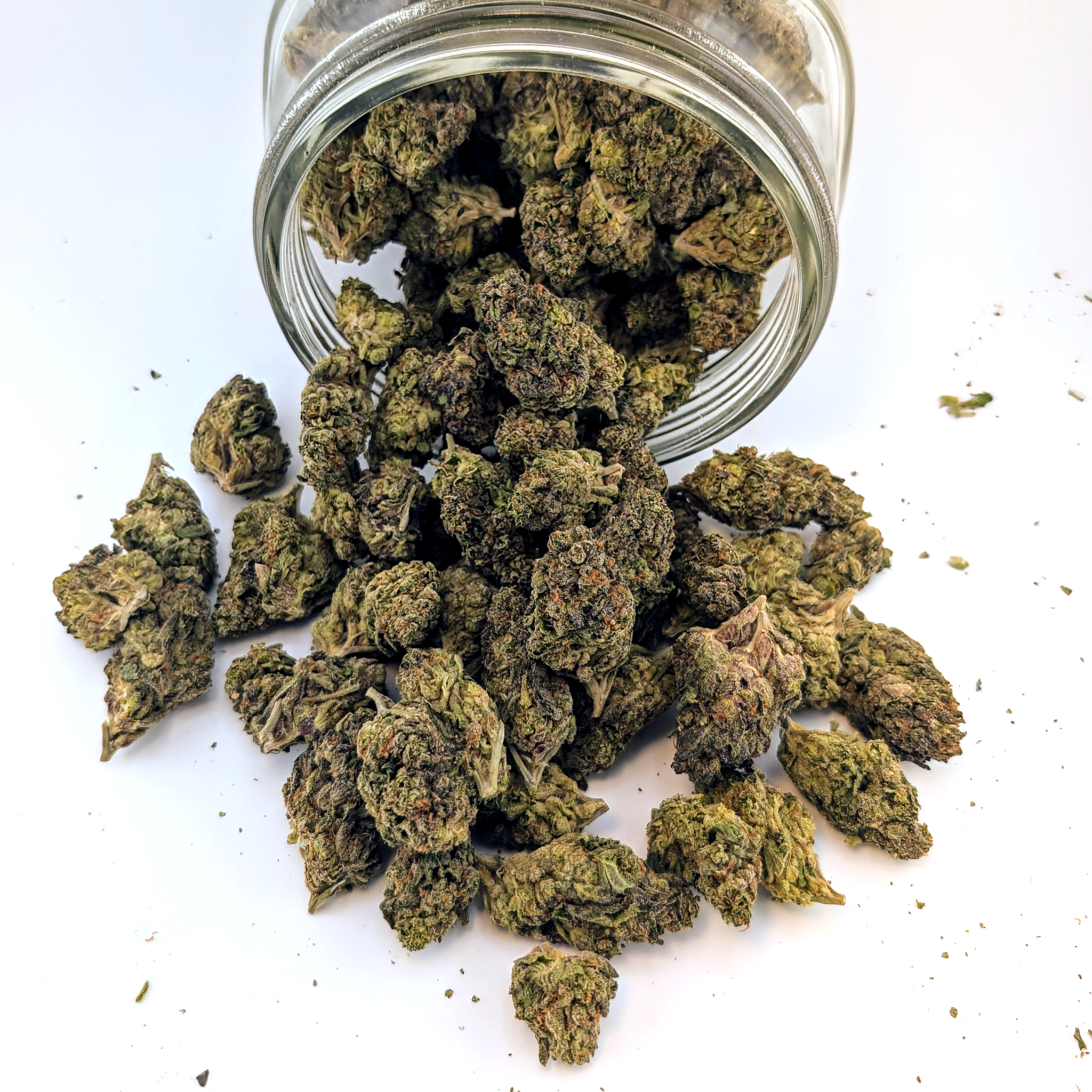 Glitter Bomb - 25.17%- Exotic Flower