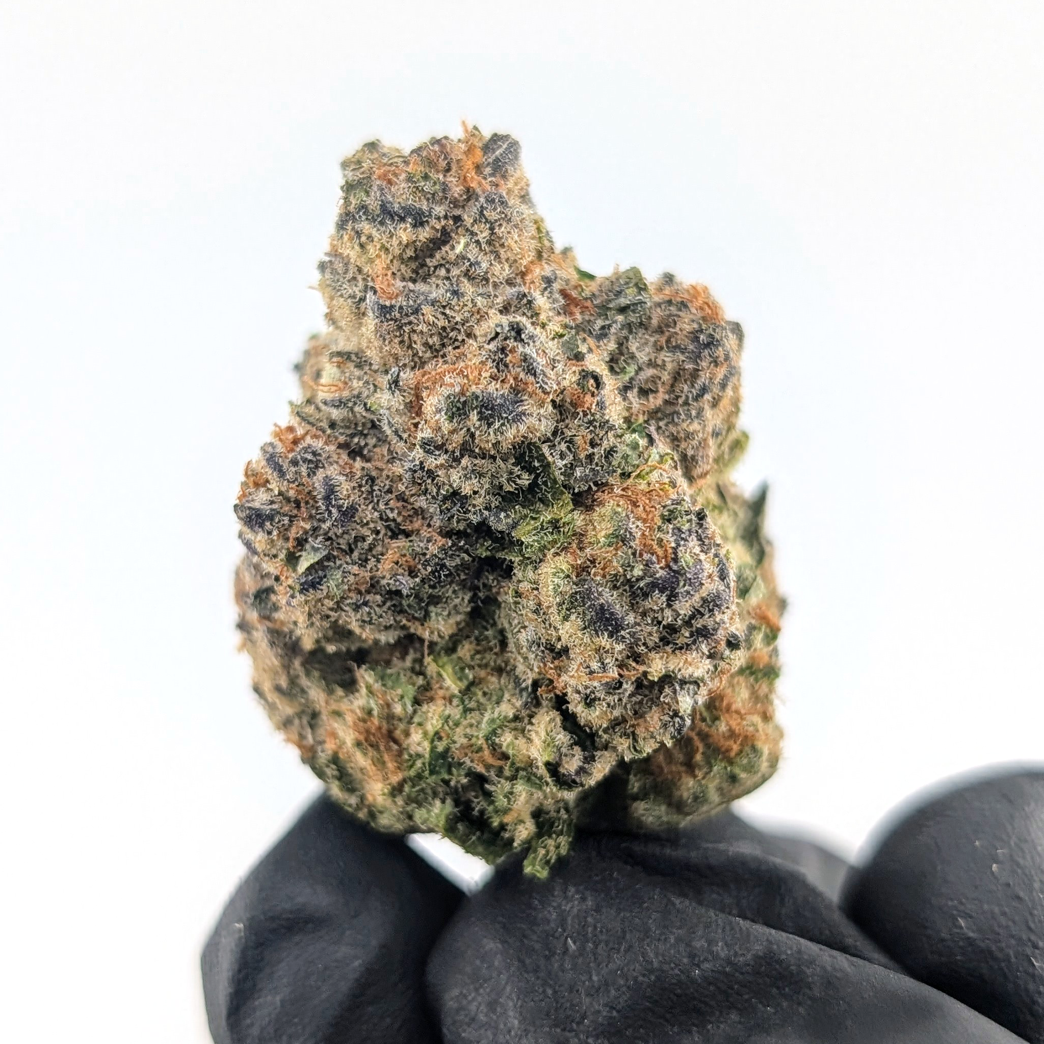 Grape Junkie - 26.81%- Legendary Flower