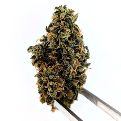 Grape Mimosa Flower