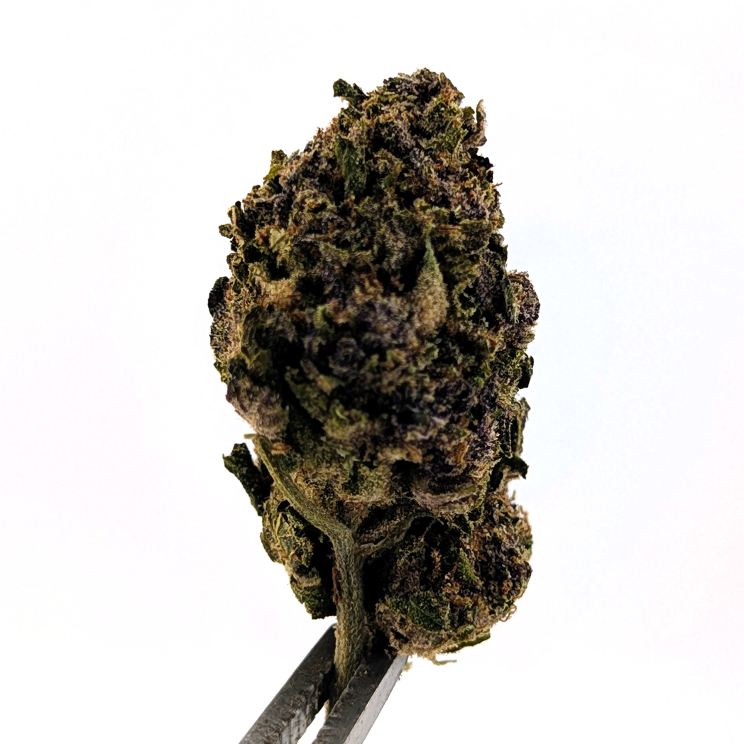 High-Chew Flower