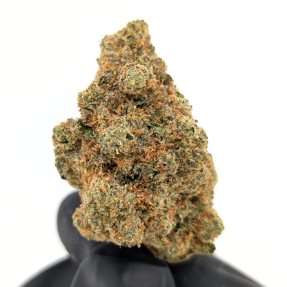 Hindu Kush - 24.09% - Exotic Flower