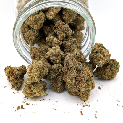 Hindu Kush - 24.09% - Exotic Flower