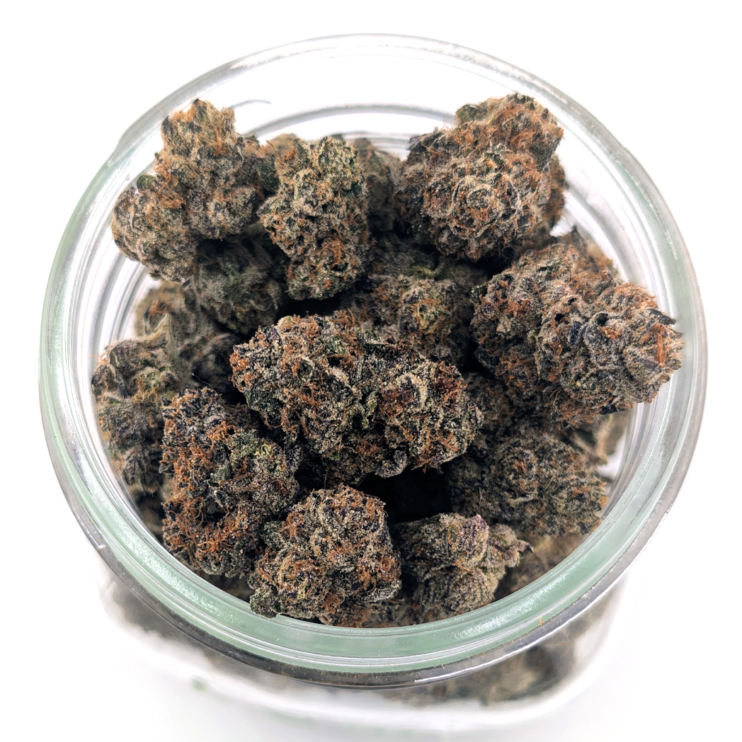 Jelly Breath Flower
