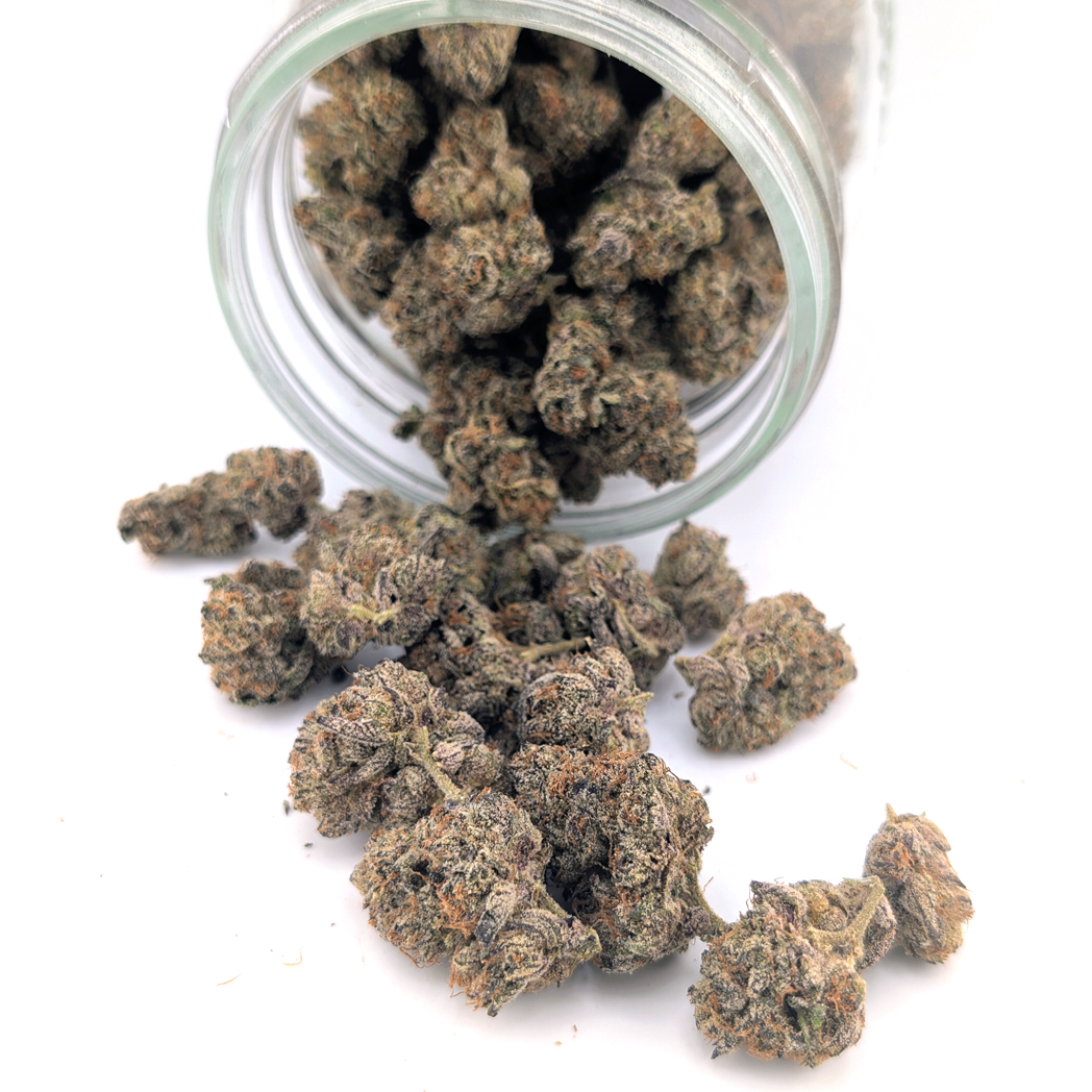 Jelly Breath Flower
