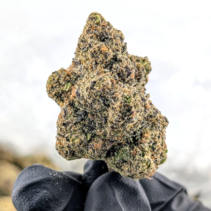 Jet Fuel OG- 21.88%- Exotic Flower