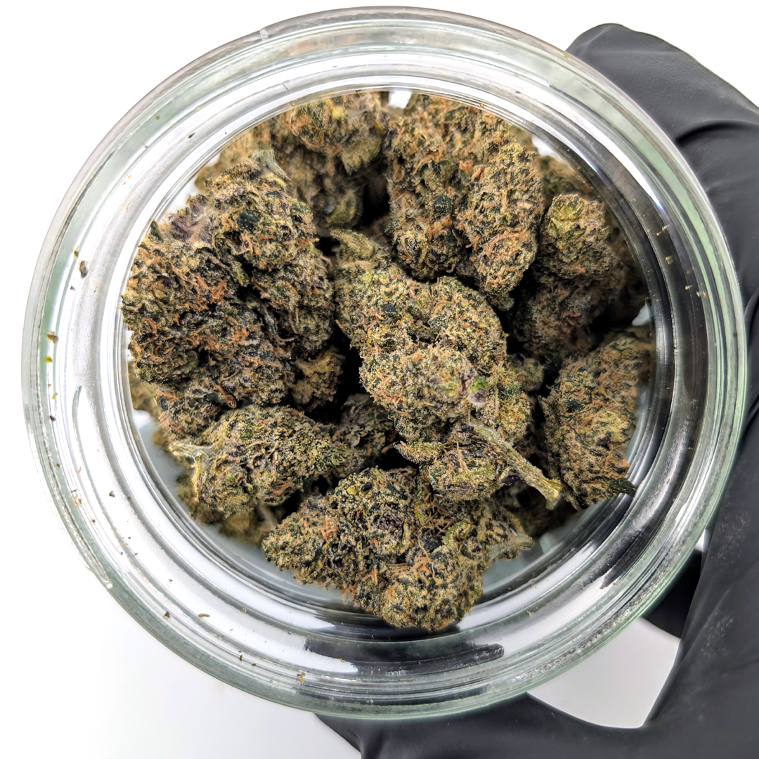 Jet Fuel OG- 21.88%- Exotic Flower