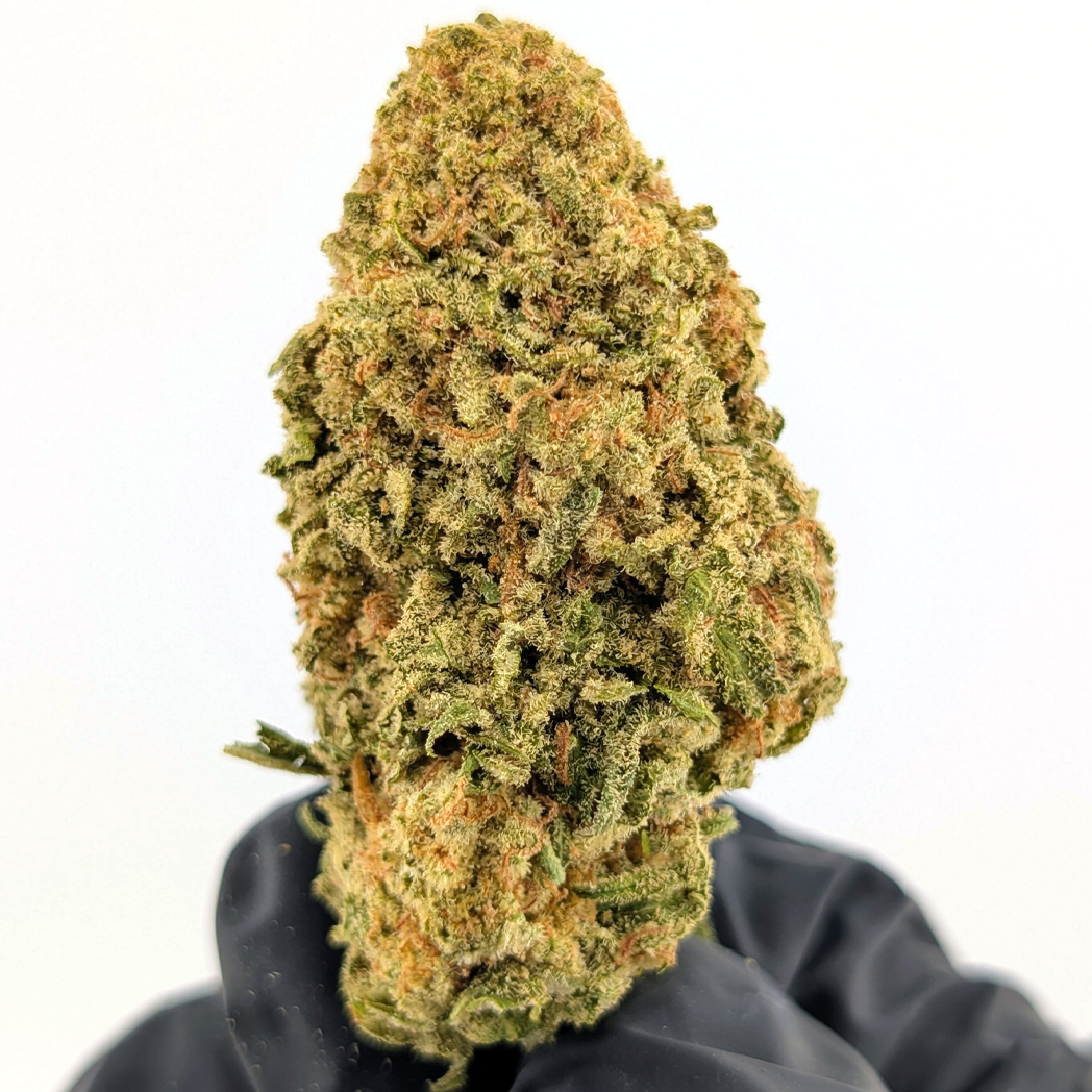 Jet Fuel OG- 21.88%- Legendary Flower