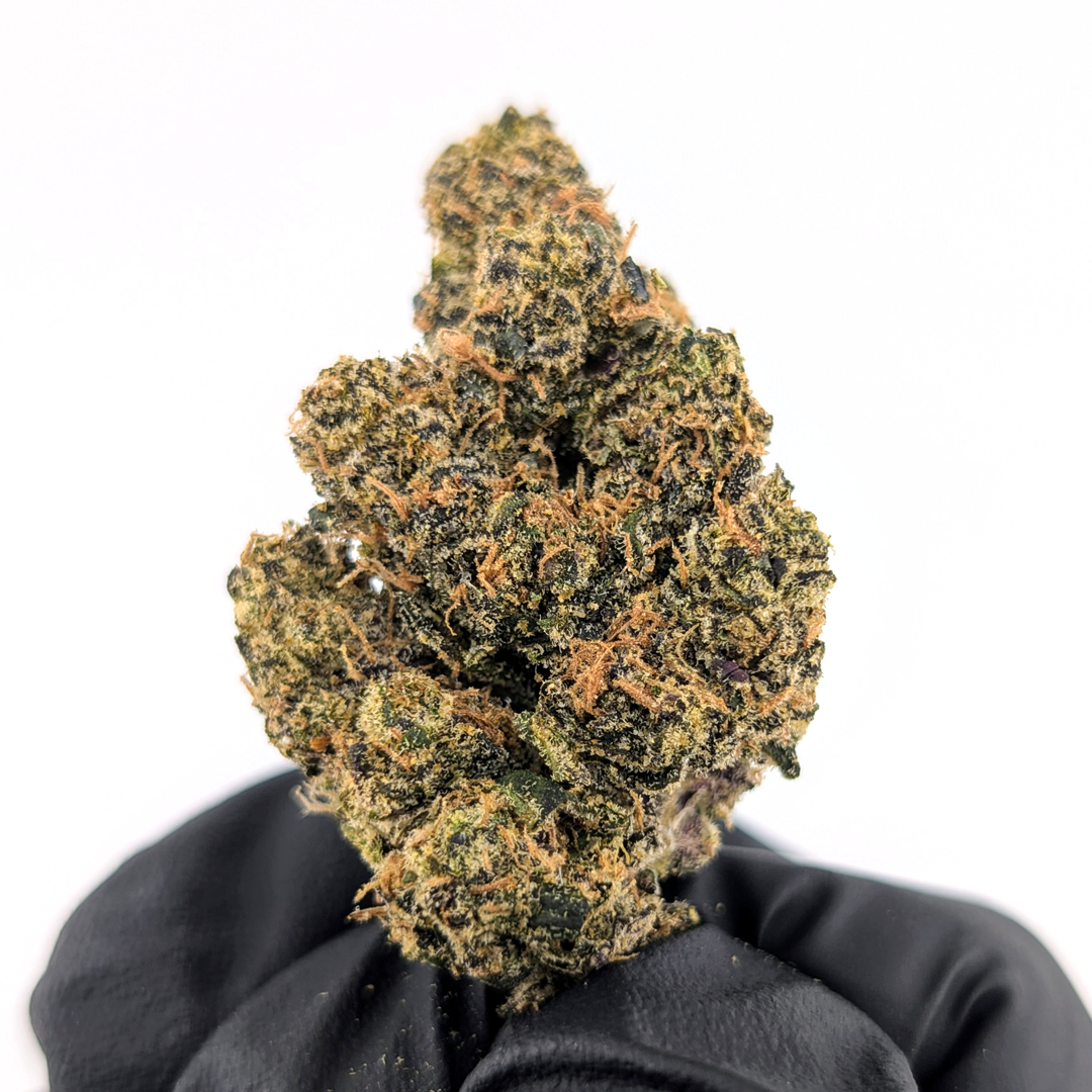 Jet Fuel OG- 21.88%- Exotic Flower