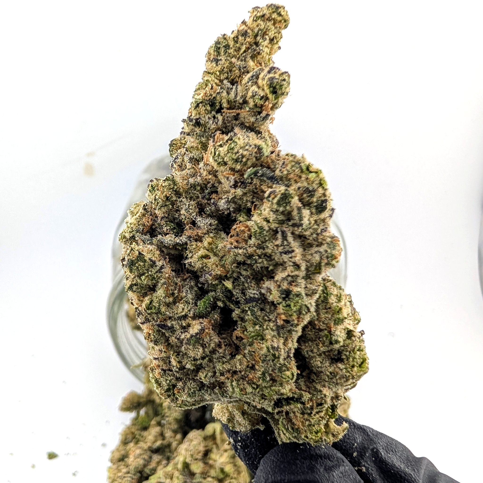 LA Pop Rox - 25.67%- Legendary Flower