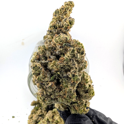 LA Pop Rox - 25.67%- Legendary Flower